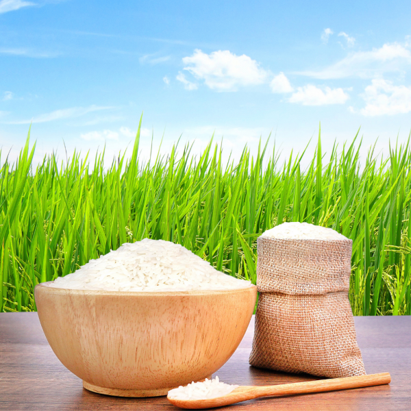 Indrayani Rice 1 Kg (Pack of 2) - Image 3